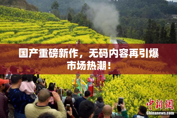 国产重磅新作，无码内容再引爆市场热潮！