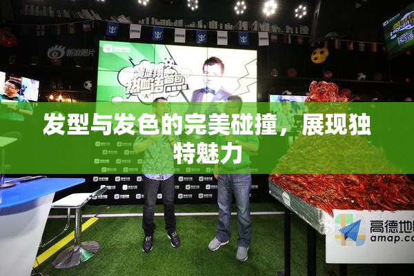发型与发色的完美碰撞，展现独特魅力