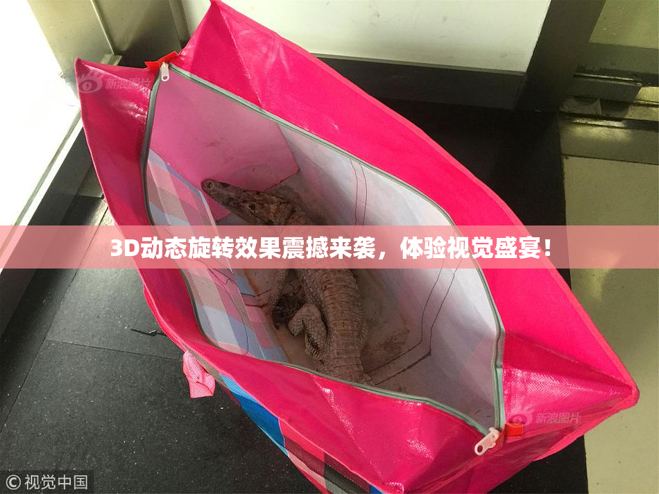 3D动态旋转效果震撼来袭，体验视觉盛宴！
