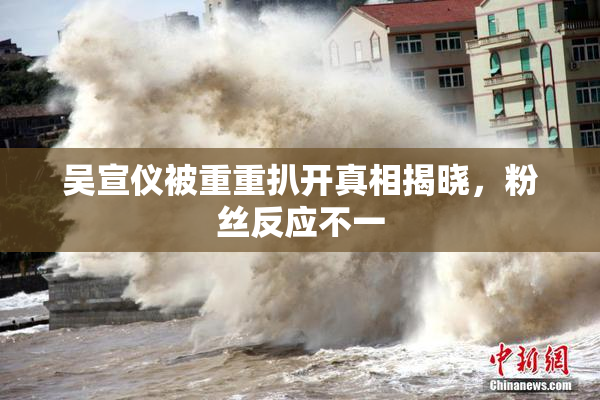 吴宣仪被重重扒开真相揭晓，粉丝反应不一
