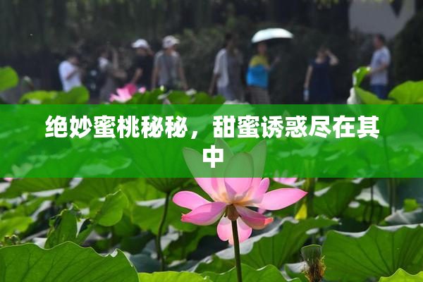绝妙蜜桃秘秘，甜蜜诱惑尽在其中