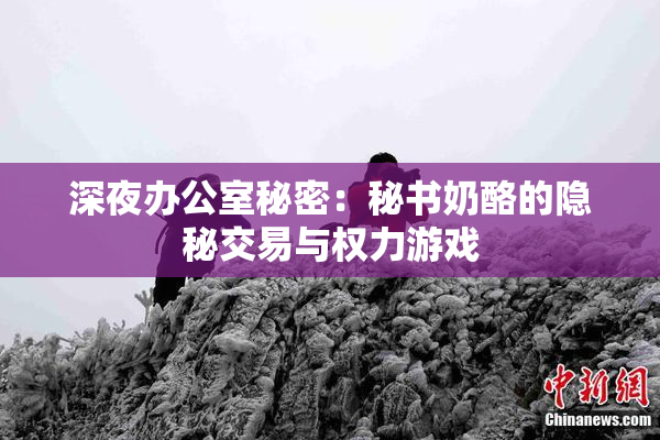 深夜办公室秘密：秘书奶酪的隐秘交易与权力游戏