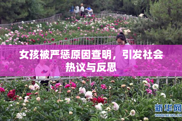 女孩被严惩原因查明，引发社会热议与反思