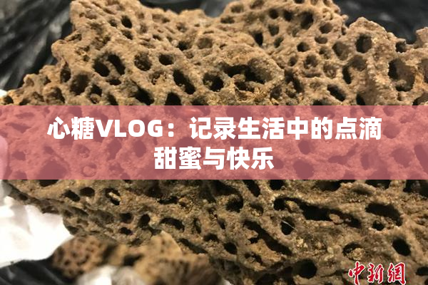 心糖VLOG：记录生活中的点滴甜蜜与快乐