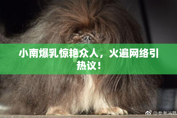小南爆乳惊艳众人，火遍网络引热议！