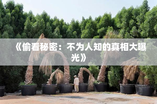 《偷看秘密：不为人知的真相大曝光》