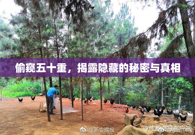 偷窥五十重，揭露隐藏的秘密与真相