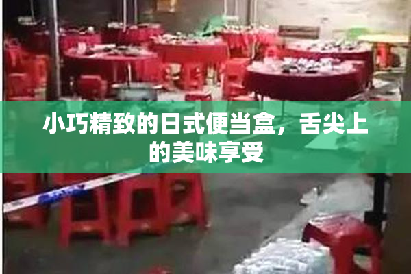 小巧精致的日式便当盒，舌尖上的美味享受