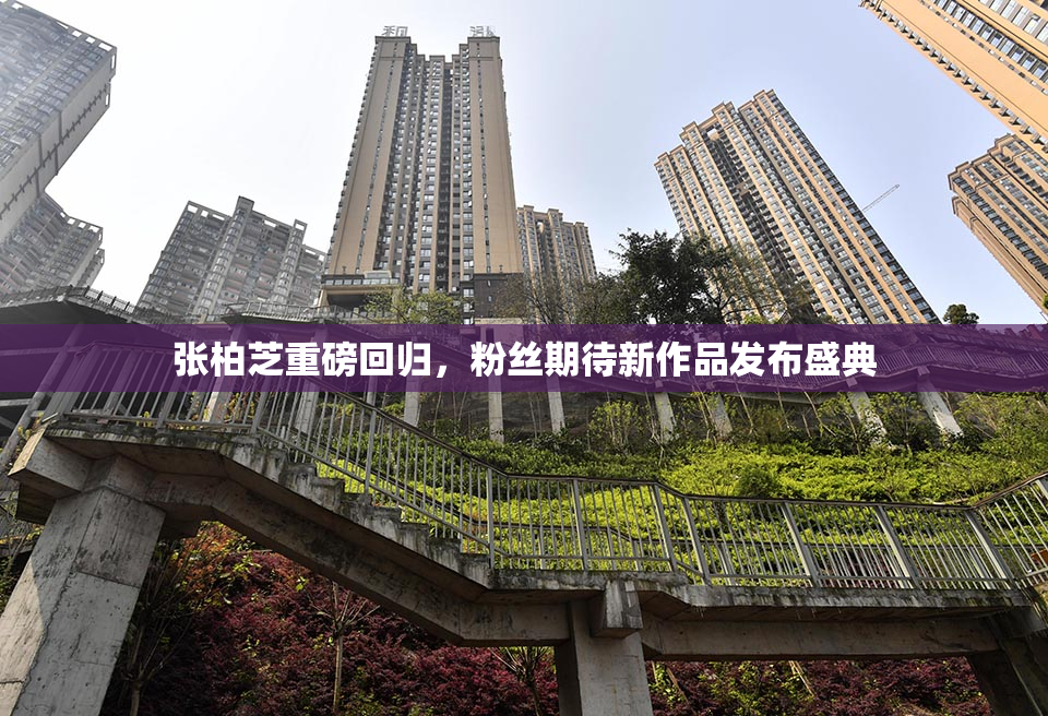张柏芝重磅回归，粉丝期待新作品发布盛典