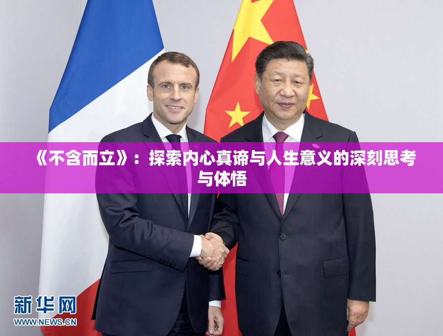 《不含而立》：探索内心真谛与人生意义的深刻思考与体悟