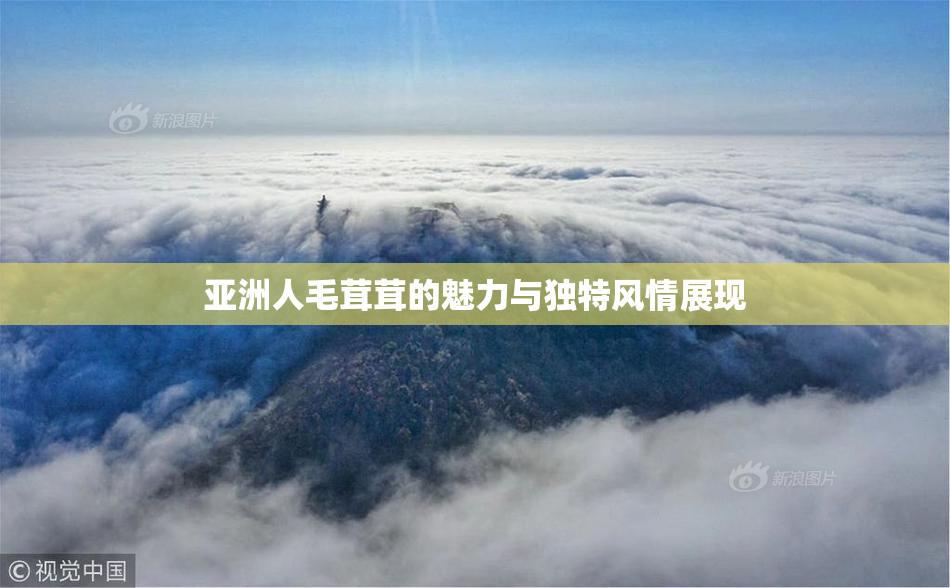 亚洲人毛茸茸的魅力与独特风情展现