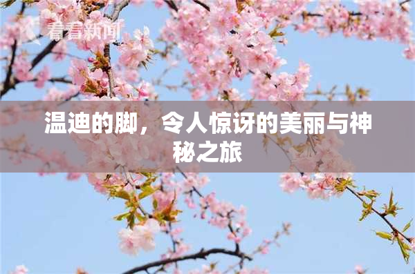 温迪的脚，令人惊讶的美丽与神秘之旅