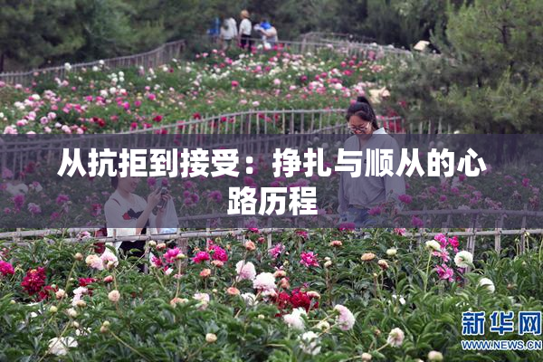 从抗拒到接受：挣扎与顺从的心路历程