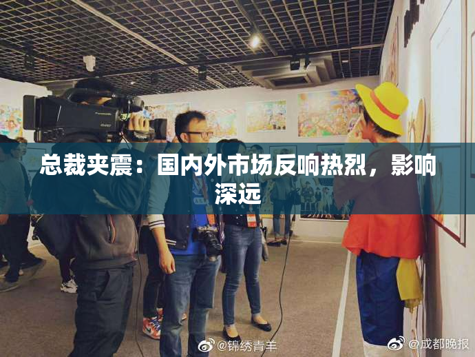 总裁夹震：国内外市场反响热烈，影响深远