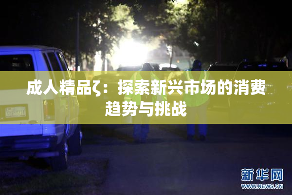 成人精品ζ：探索新兴市场的消费趋势与挑战