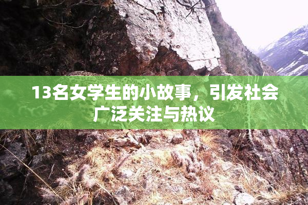13名女学生的小故事，引发社会广泛关注与热议