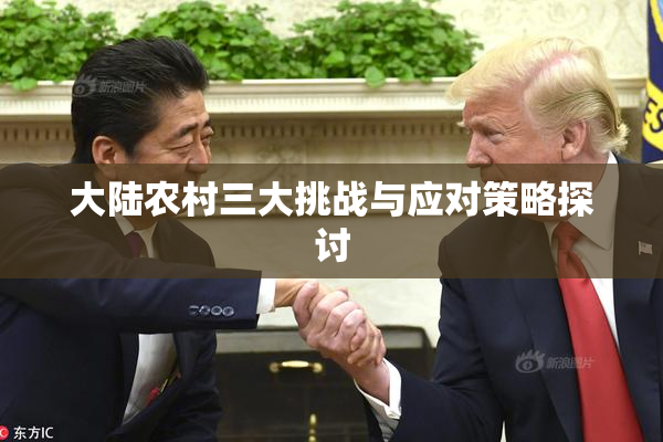 大陆农村三大挑战与应对策略探讨