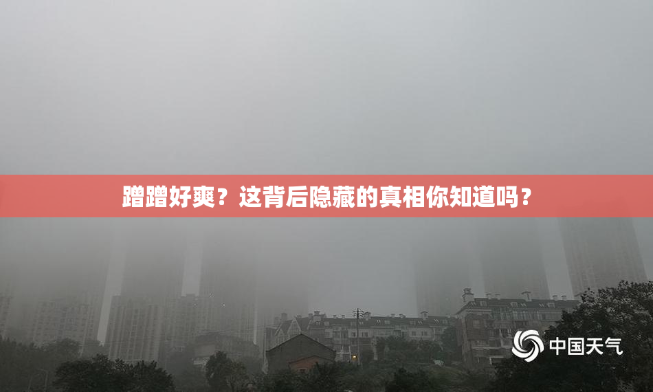 蹭蹭好爽？这背后隐藏的真相你知道吗？