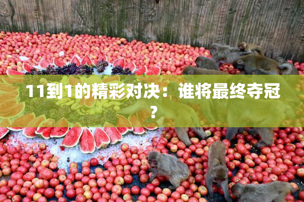 11到1的精彩对决：谁将最终夺冠？