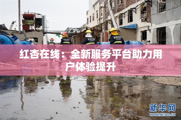 红杏在线：全新服务平台助力用户体验提升