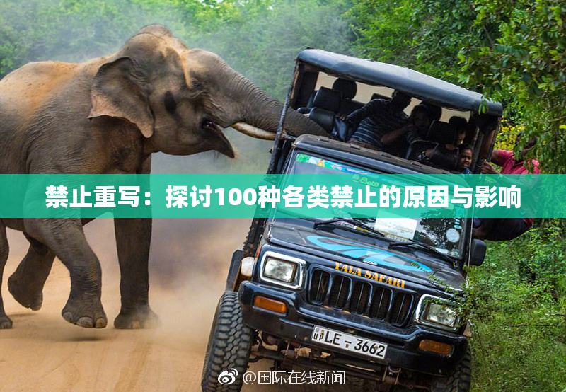 禁止重写：探讨100种各类禁止的原因与影响