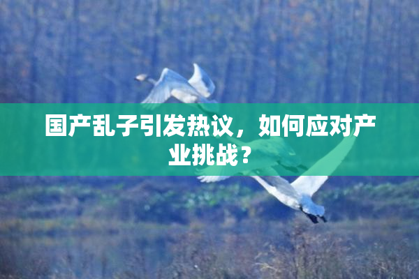 国产乱子引发热议，如何应对产业挑战？