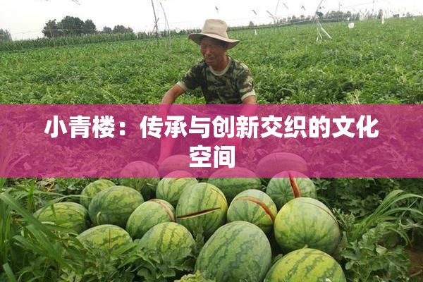 小青楼：传承与创新交织的文化空间