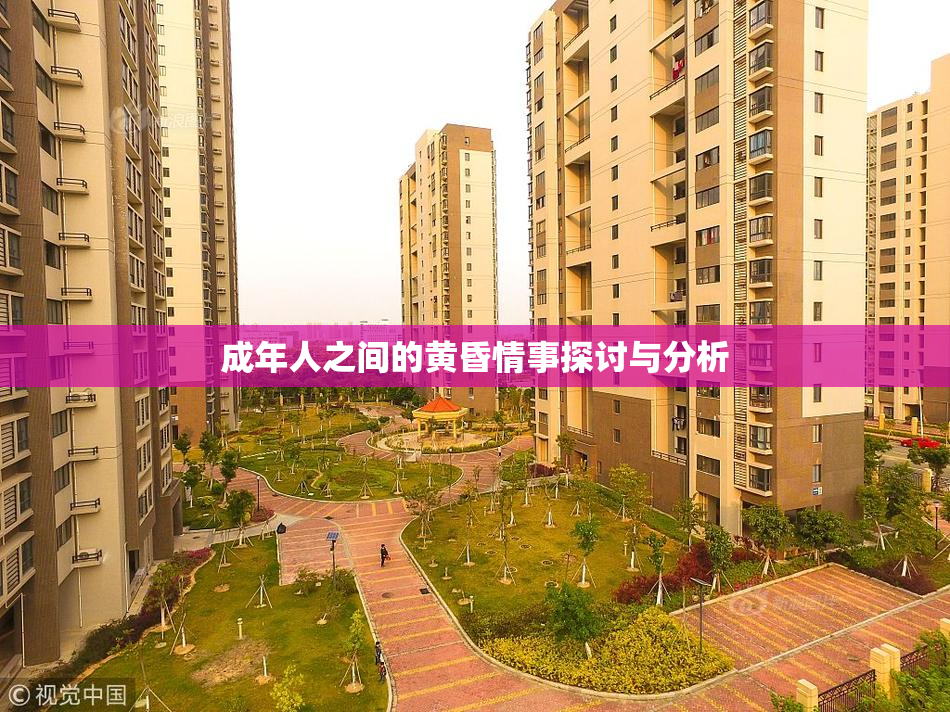 成年人之间的黄昏情事探讨与分析
