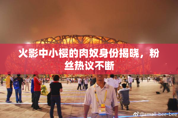 火影中小樱的肉奴身份揭晓，粉丝热议不断