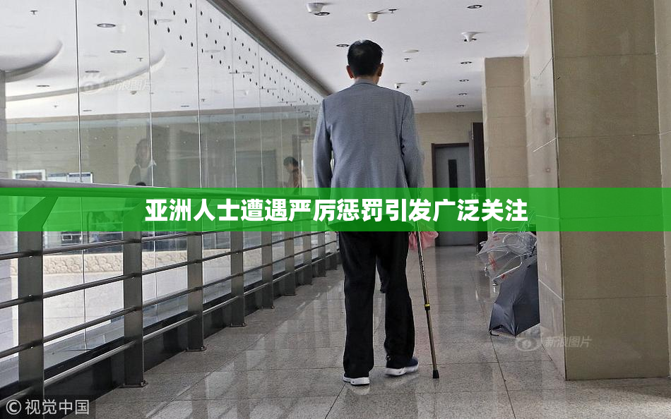 亚洲人士遭遇严厉惩罚引发广泛关注