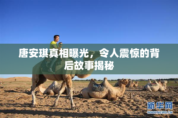 唐安琪真相曝光，令人震惊的背后故事揭秘