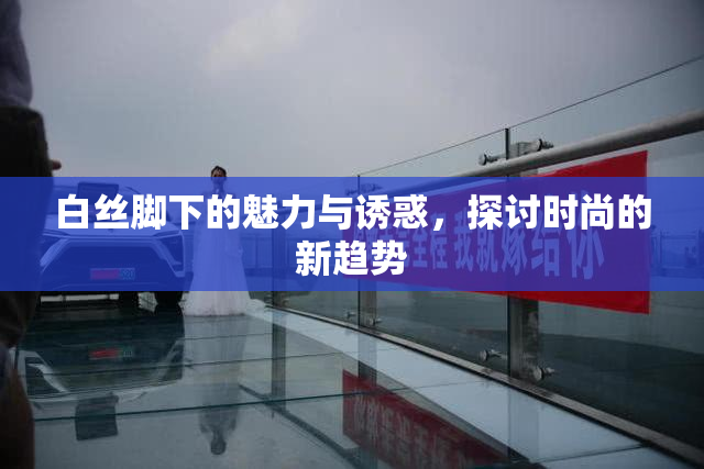 白丝脚下的魅力与诱惑，探讨时尚的新趋势