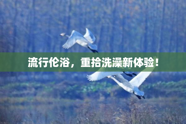 流行伦浴，重拾洗澡新体验！