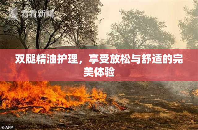 双腿精油护理，享受放松与舒适的完美体验