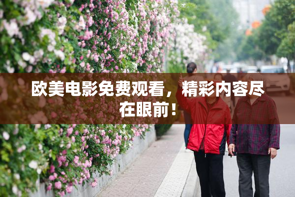 欧美电影免费观看，精彩内容尽在眼前！