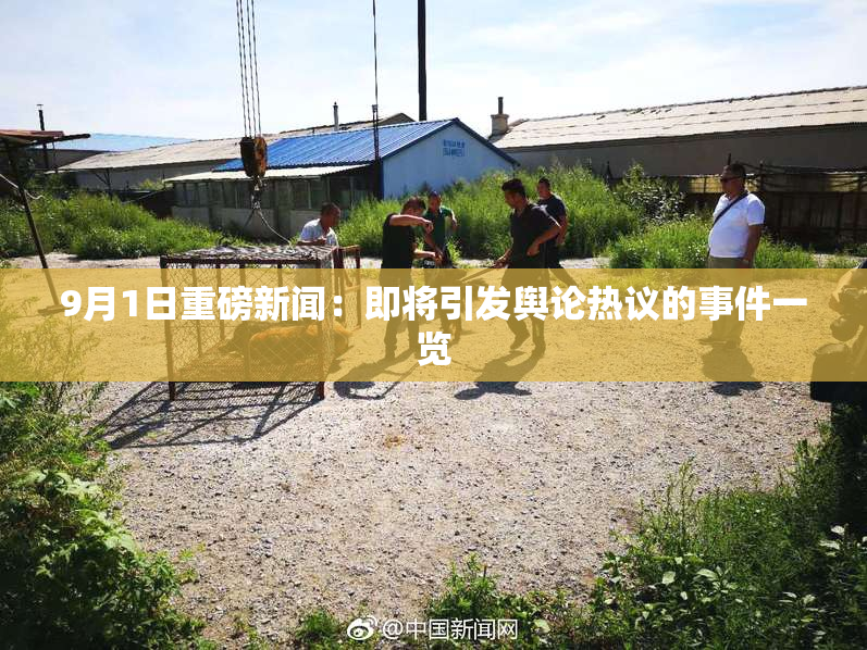 9月1日重磅新闻：即将引发舆论热议的事件一览