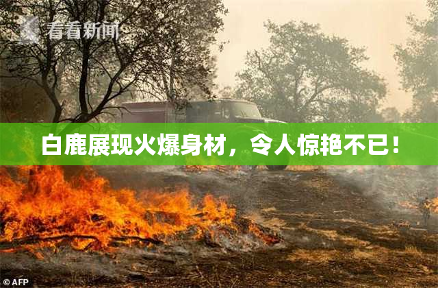 白鹿展现火爆身材，令人惊艳不已！