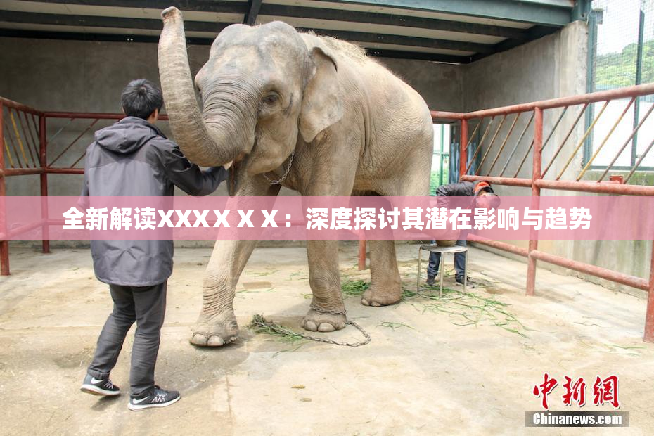 全新解读XXXⅩⅩⅩ：深度探讨其潜在影响与趋势