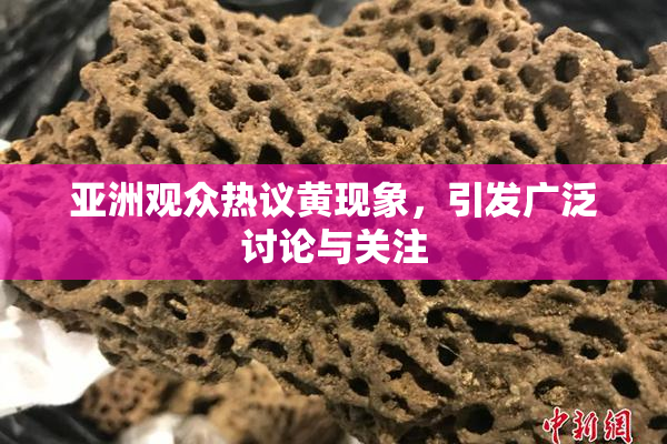 亚洲观众热议黄现象，引发广泛讨论与关注