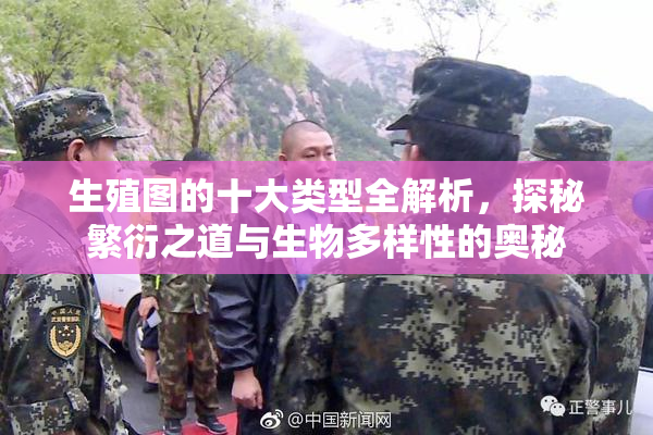 生殖图的十大类型全解析，探秘繁衍之道与生物多样性的奥秘