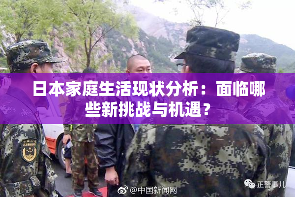 日本家庭生活现状分析：面临哪些新挑战与机遇？