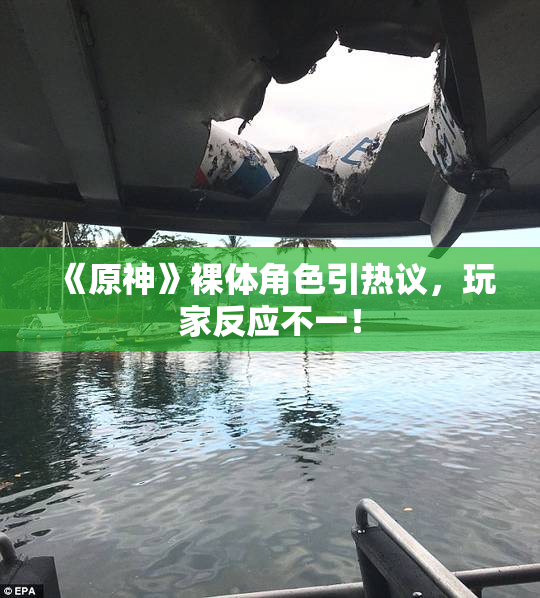 《原神》裸体角色引热议，玩家反应不一！