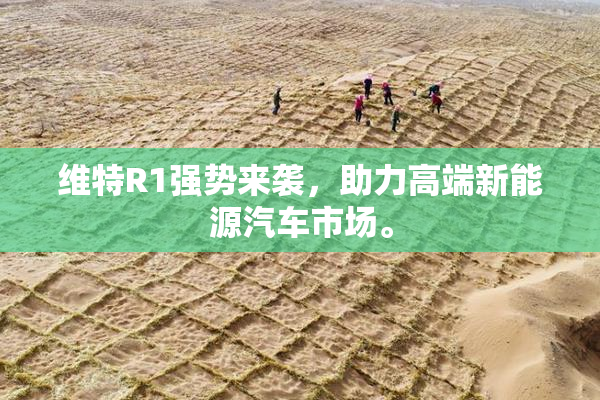 维特R1强势来袭，助力高端新能源汽车市场。