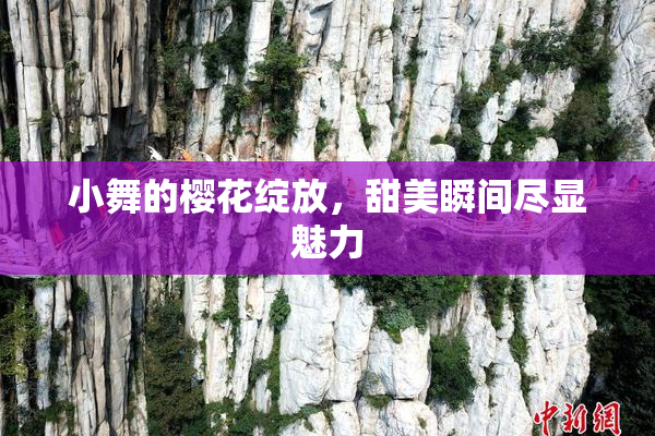 小舞的樱花绽放，甜美瞬间尽显魅力