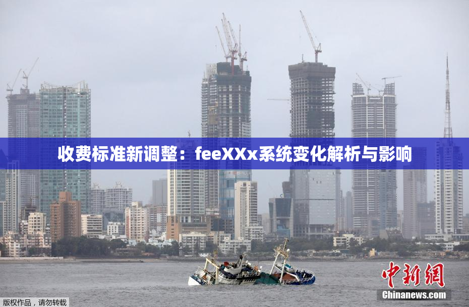 收费标准新调整：feeXXx系统变化解析与影响