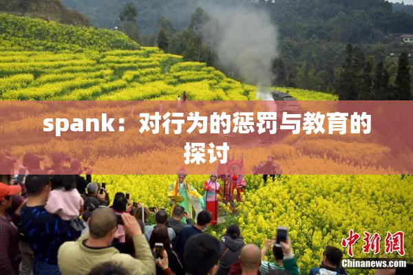 spank：对行为的惩罚与教育的探讨