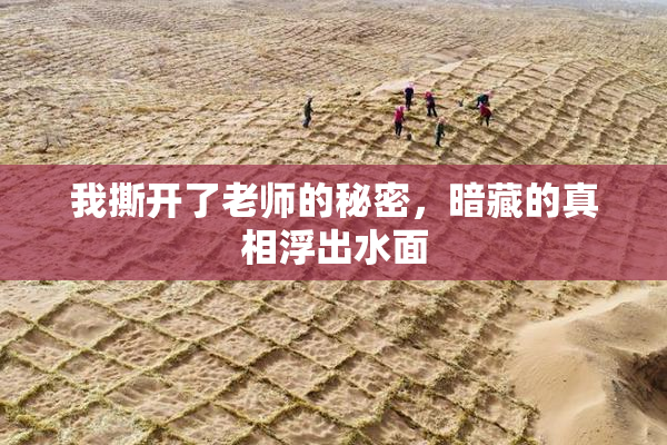我撕开了老师的秘密，暗藏的真相浮出水面