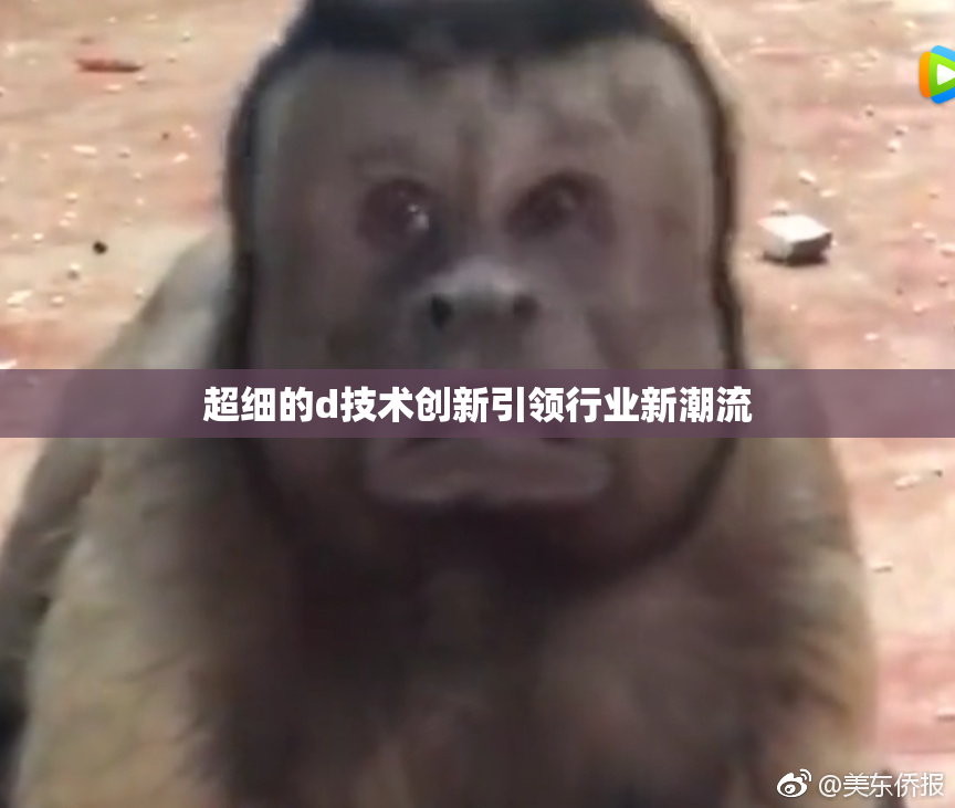 超细的d技术创新引领行业新潮流