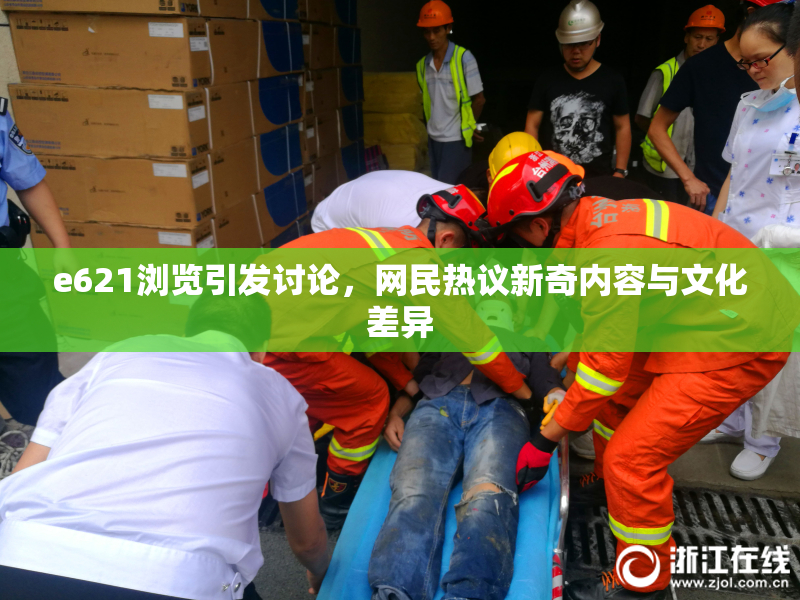 e621浏览引发讨论，网民热议新奇内容与文化差异