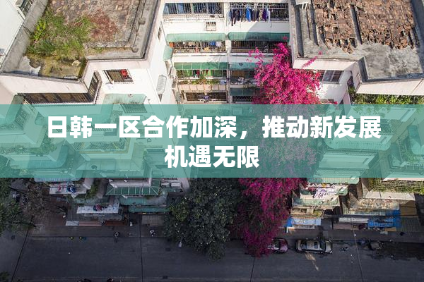 日韩一区合作加深，推动新发展机遇无限